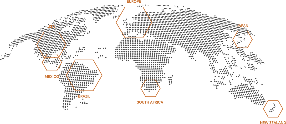 Mindhive Global works leading tanneries worldwide